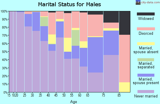 Zip code 17102 marital status for males