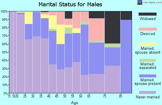 Zip code 17103 marital status for males