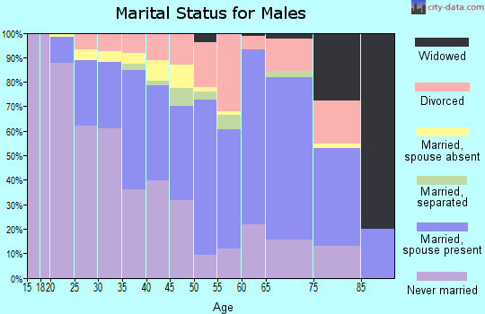 Zip code 17104 marital status for males