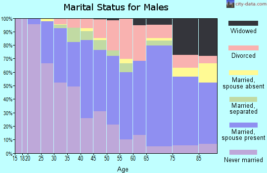 Zip code 17109 marital status for males
