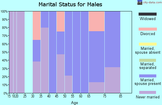 Zip code 17214 marital status for males