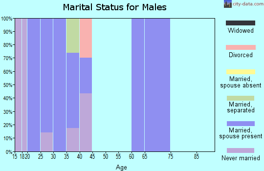 Zip code 17220 marital status for males