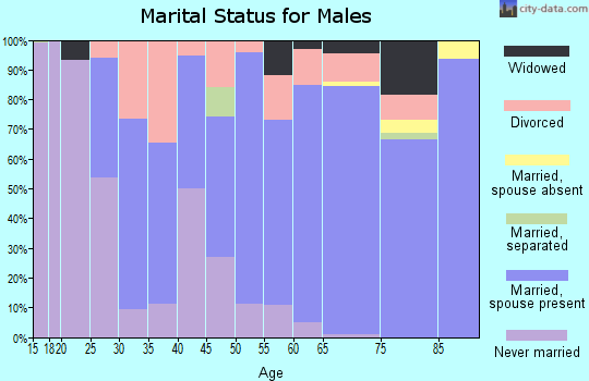 Zip code 17222 marital status for males