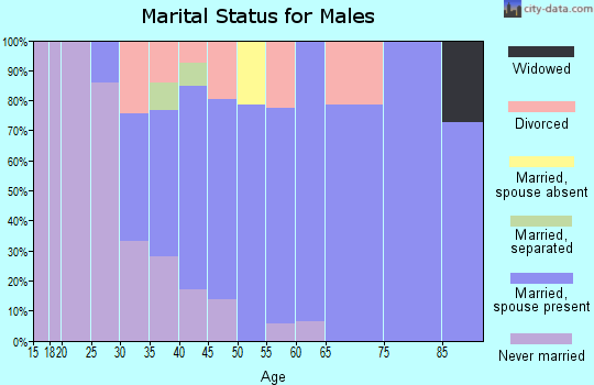 Zip code 17237 marital status for males