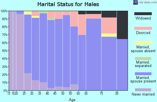 Zip code 17240 marital status for males