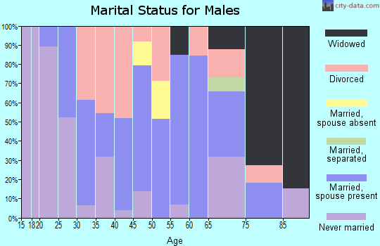 Zip code 17243 marital status for males