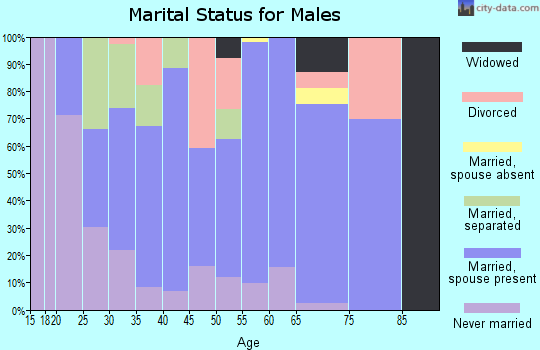 Zip code 17244 marital status for males