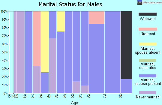 Zip code 17249 marital status for males