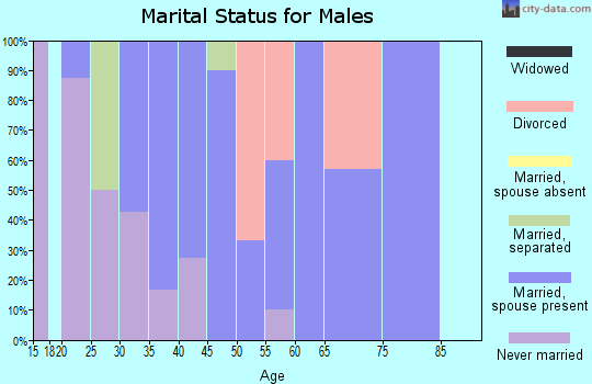 Zip code 17253 marital status for males