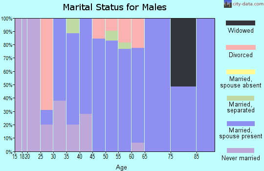Zip code 17255 marital status for males