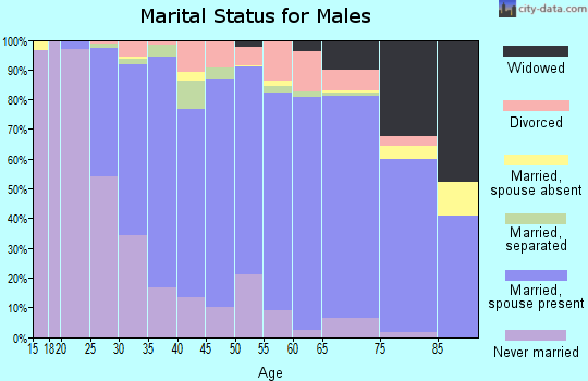 Zip code 17257 marital status for males