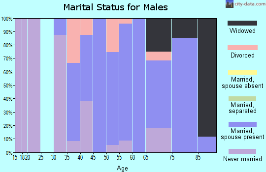 Zip code 17260 marital status for males