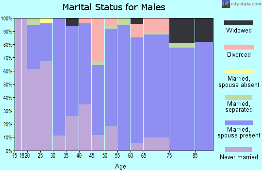 Zip code 17264 marital status for males