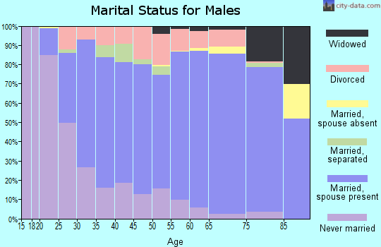 Zip code 17268 marital status for males