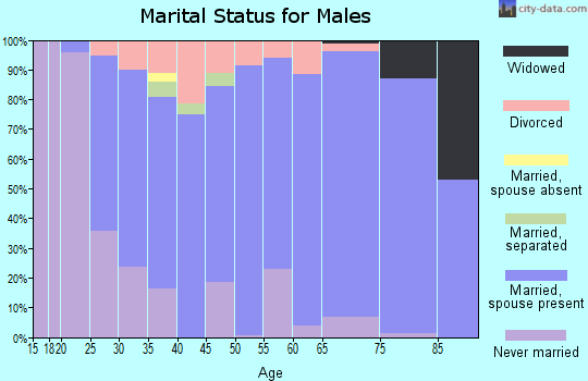 Zip code 17301 marital status for males