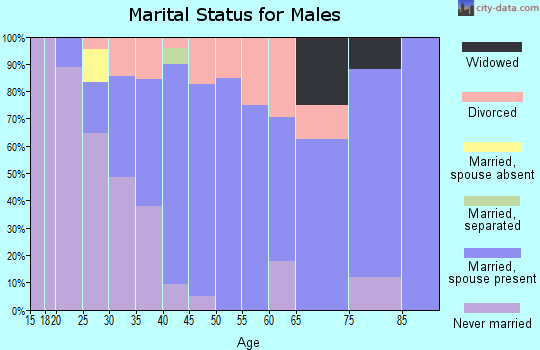 Zip code 17302 marital status for males