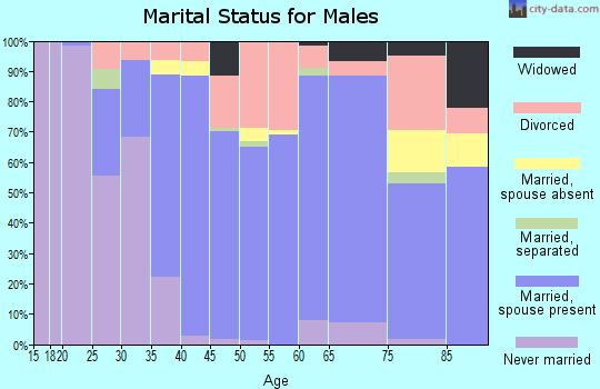 Zip code 17307 marital status for males