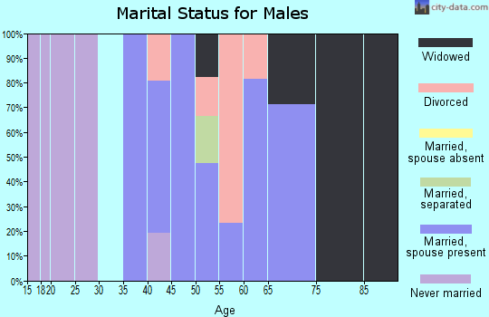 Zip code 17309 marital status for males