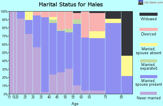 Zip code 17313 marital status for males