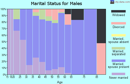 Zip code 17314 marital status for males
