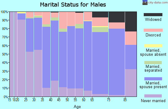 Zip code 17315 marital status for males