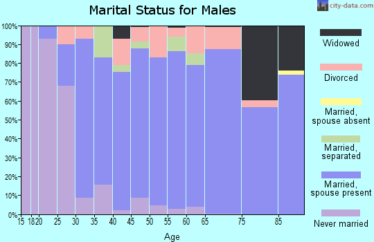 Zip code 17316 marital status for males