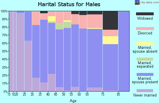Zip code 17319 marital status for males