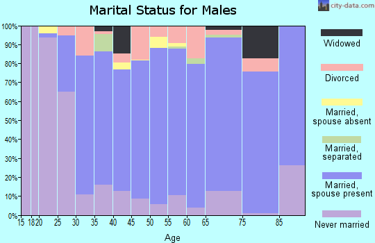 Zip code 17320 marital status for males