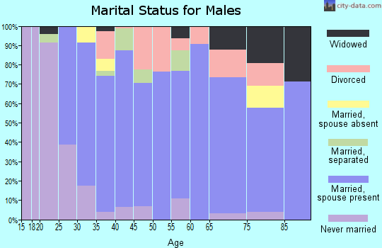 Zip code 17321 marital status for males