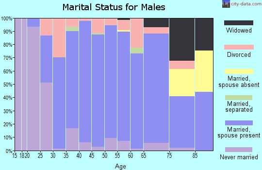 Zip code 17322 marital status for males
