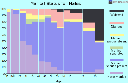 Zip code 17325 marital status for males