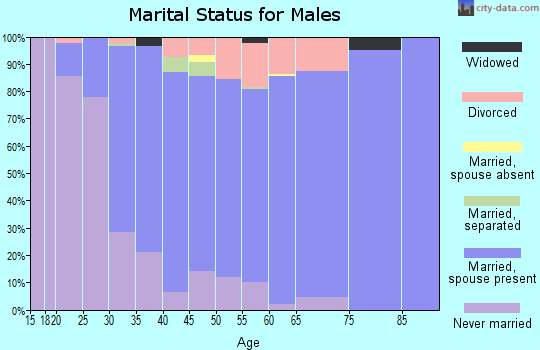Zip code 17327 marital status for males