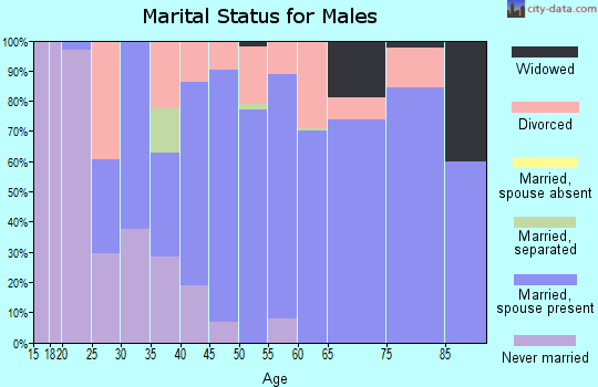 Zip code 17339 marital status for males