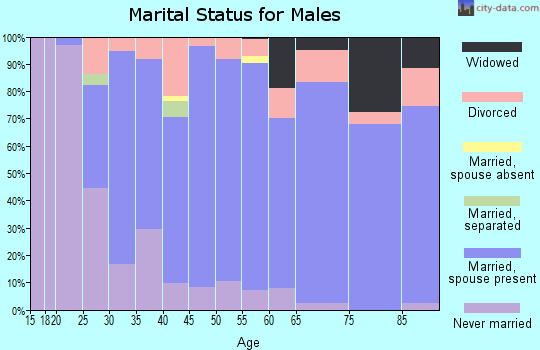 Zip code 17340 marital status for males