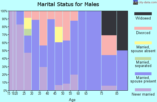 Zip code 17344 marital status for males