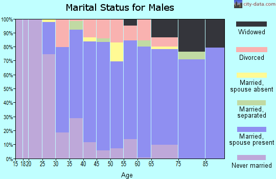 Zip code 17345 marital status for males