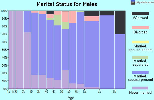 Zip code 17347 marital status for males