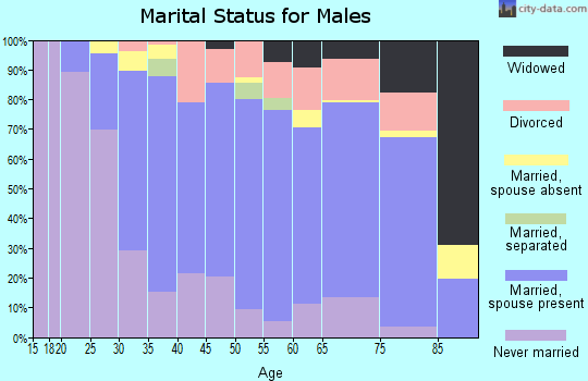 Zip code 17350 marital status for males