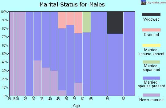 Zip code 17352 marital status for males