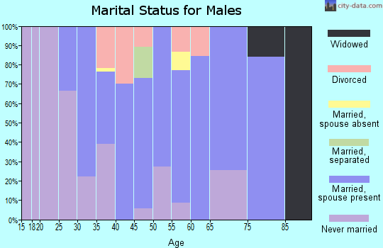 Zip code 17353 marital status for males
