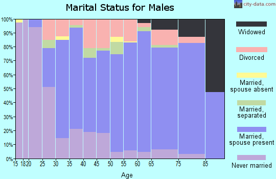 Zip code 17356 marital status for males