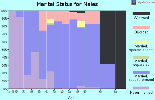 Zip code 17360 marital status for males