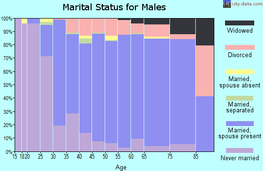 Zip code 17362 marital status for males