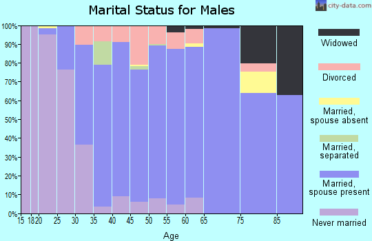 Zip code 17363 marital status for males