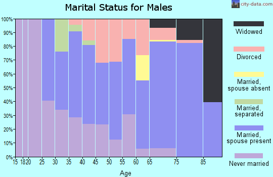 Zip code 17366 marital status for males