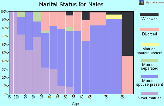 Zip code 17368 marital status for males