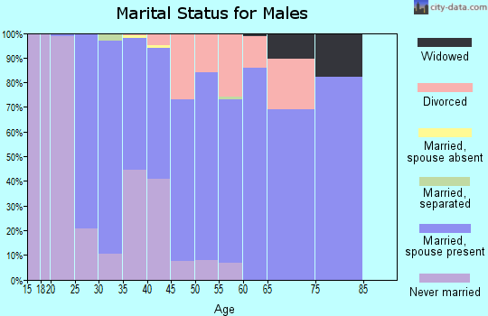 Zip code 17370 marital status for males