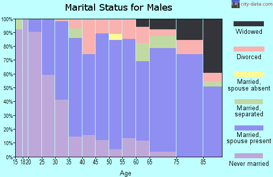 Zip code 17372 marital status for males
