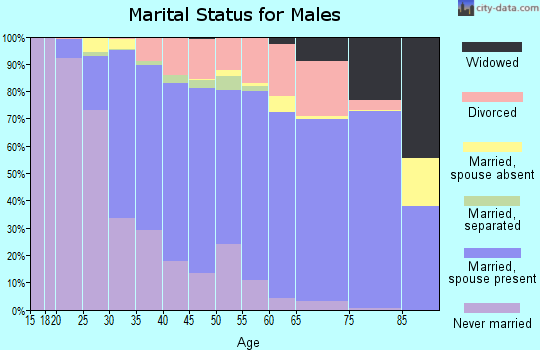 Zip code 17404 marital status for males