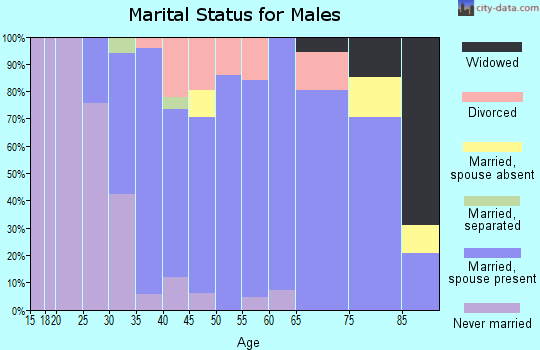 Zip code 17407 marital status for males